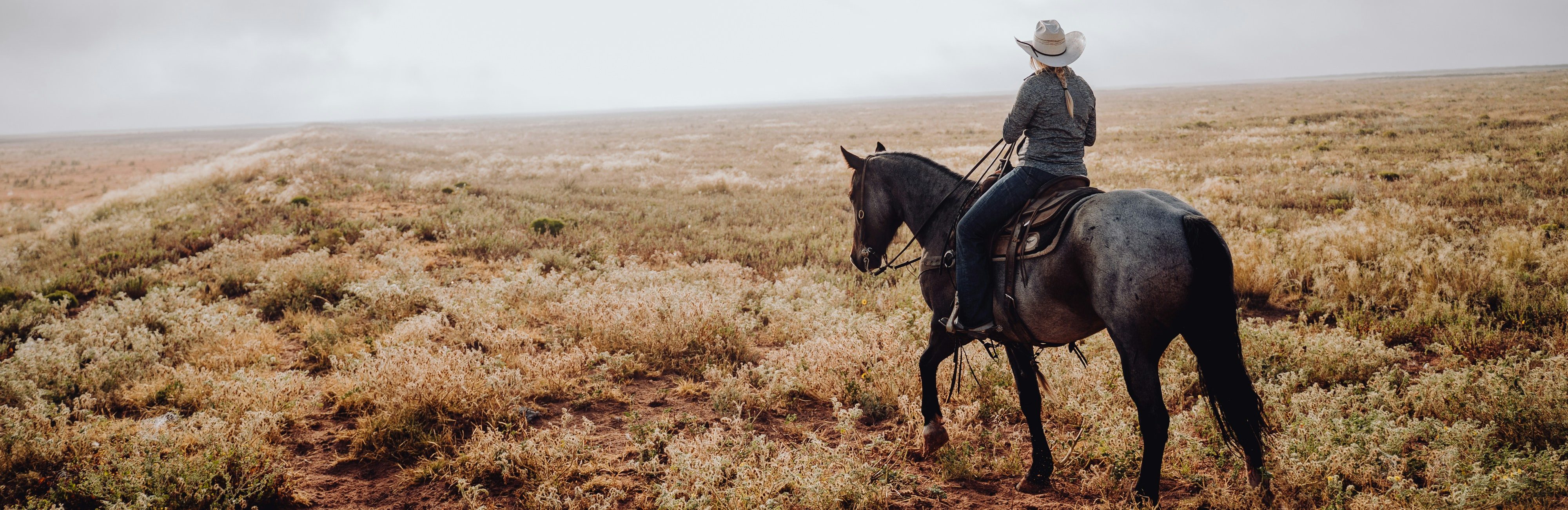 Hírek a western lovas világból
