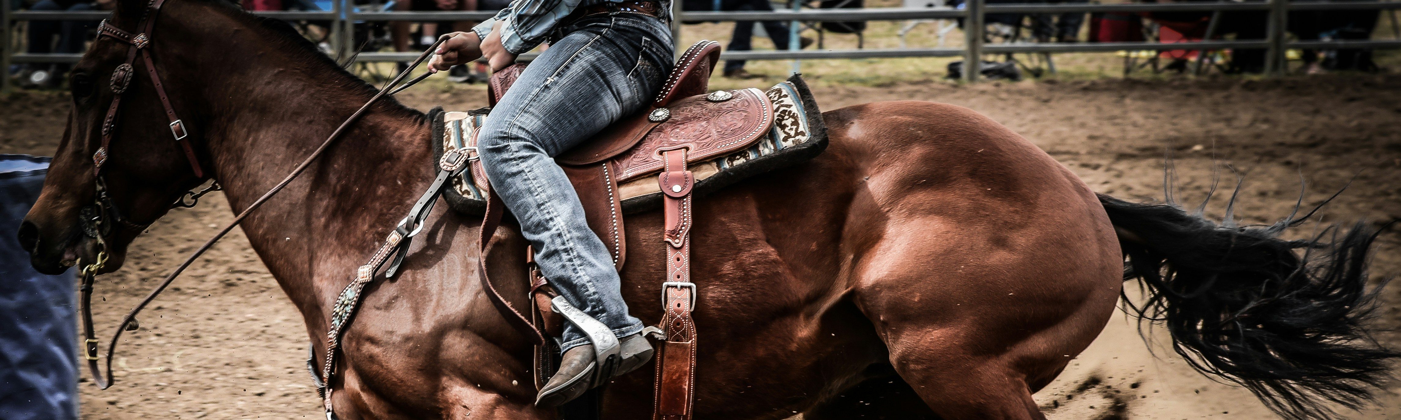 Western Lovas Versenyek